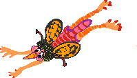 Bug Lady Illustrtaion